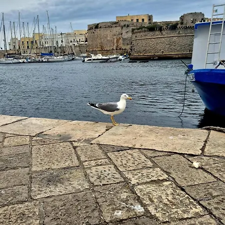 Alojamento de Acomodação e Pequeno-almoço Claire Gallipoli