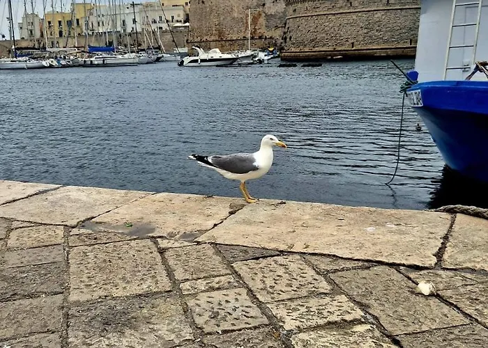 Alojamento de Acomodação e Pequeno-almoço Claire Gallipoli